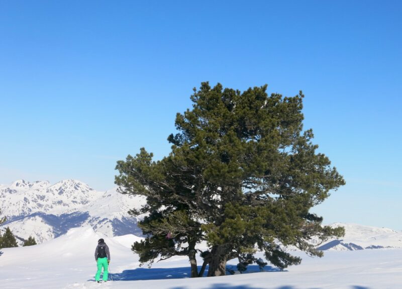 Ax-les-Thermes, French Pyrenees. Image © PlanetSKI